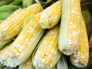 20080707-marketscenela-corn