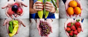 Farmers-market-fruits1-960x410