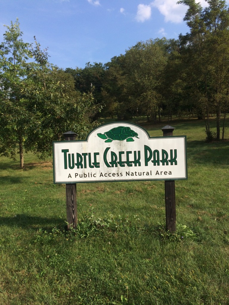 Outside Mindful Matters